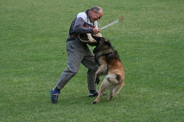 schutzdienst_aragon_3