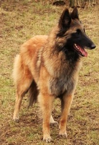 381777_345965052082096_100000058119779_1503365_1000209938_n