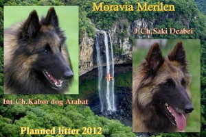 403753_367532359925365_100000058119779_1561231_1291967903_n