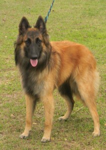 417727_376307899051702_100000174861208_1688851_2072234618_n