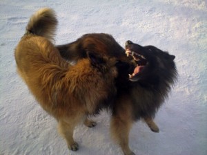 418797_2682559704240_1263757504_32135140_1398113662_n