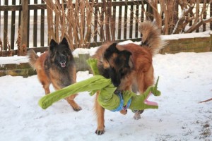 419768_379252132090612_100000174861208_1696810_692568798_n