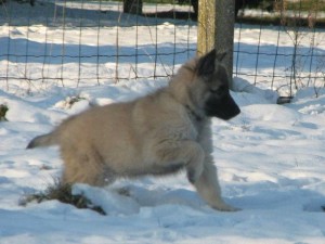 420660_3114162302547_1519130769_2941656_932608294_n