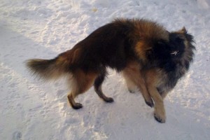 421049_2682552664064_1263757504_32135120_1052317031_n