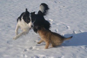 423358_3182033399566_1527652963_32964559_2004356691_n