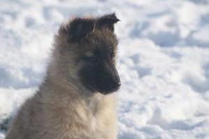 423701_3182011199011_1527652963_32964552_32409138_n