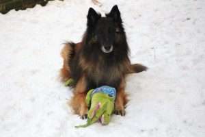 425645_379249262090899_100000174861208_1696795_554379075_n