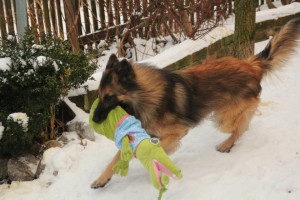 430470_379224972093328_100000174861208_1696674_217763692_n