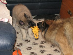 430862_3114161662531_1519130769_2941654_741515295_n