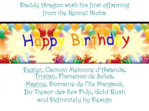 Birthday_Nicha_1_2012