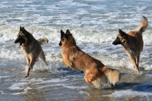 429029_3368579062287_1503516666_3094530_1754324908_n