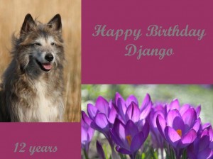 Happy Birthday Django