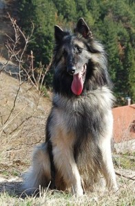 423596_363765303655953_100000674597414_1138364_2107724012_n