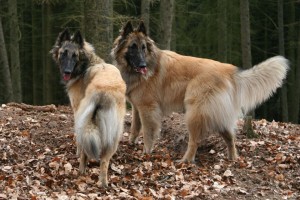 535600_319265498135926_100001574363319_880868_590032305_n