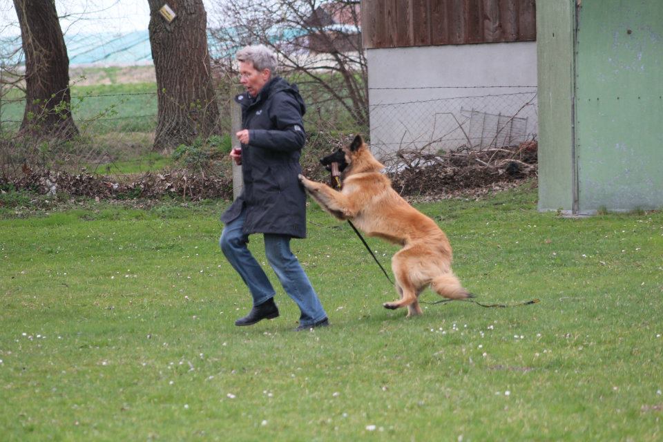 539755_417742111574947_100000174861208_1822370_1817706688_n