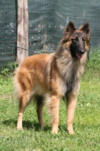 542958_10150731957104799_698584798_9087540_1846626186_n