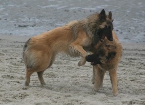 554580_319264264802716_100001574363319_880853_1202821383_n