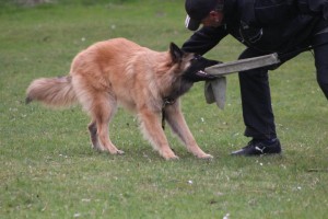 559960_417745481574610_100000174861208_1822388_110216025_n