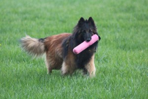 575961_430582346957590_100000174861208_1863805_1849201131_n