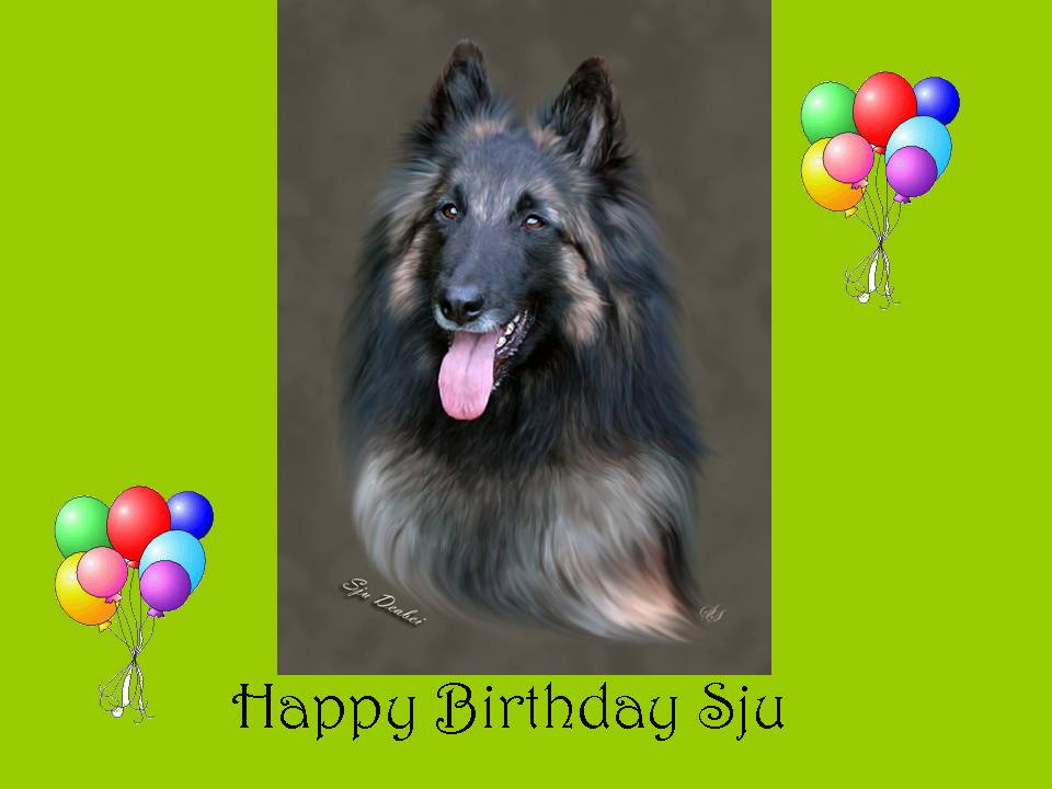 Happy Birthday Sju