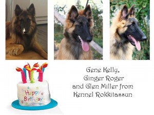 Rokkitassun_2_1Geburtstag