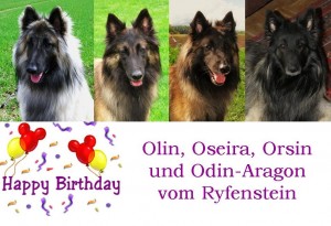 Olin, Oseira, Orsin und Odin-Aragon_13.05.2012