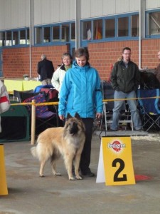 akela_V2_lingen_2012