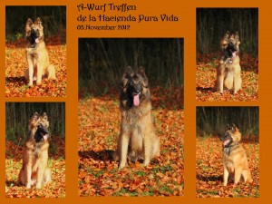 A-Wurf_Treffen_03.11.12