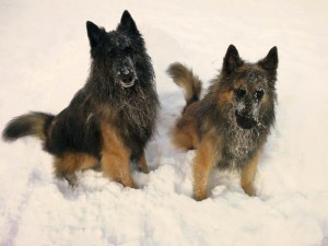 18330_4150814089682_1178377509_n