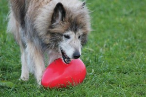 20487_567487629933727_5077482_n