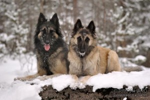 391877_4877049806327_103958953_n