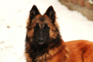 429476_561618817187275_1948287009_n