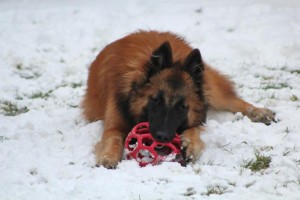 483453_561070523908771_1600925964_n