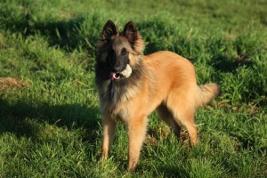 561705_450994908292329_1107155285_n