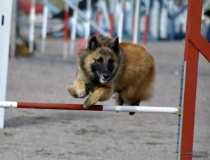 68086_4323772965566_1677597612_n