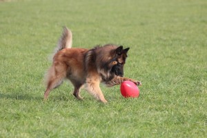 74022_567844789898011_2037605222_n