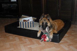 75937_191700360969471_1639983679_n