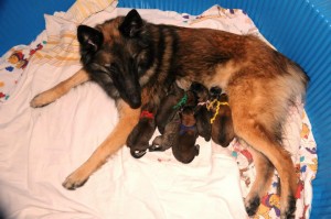 431249_10151399152165797_1939134323_n