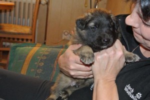 46113_441068715948998_2115929278_n