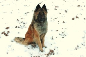 533829_558776587468012_1758116391_n