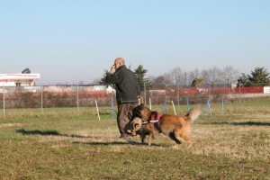 542074_10151312973414799_17042414_n