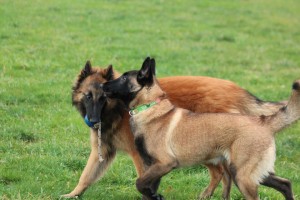 574832_574890319193458_1918087630_n