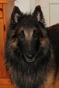 arras_21.12.2012 - Kopie