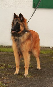 150693_595308880484935_805841031_n