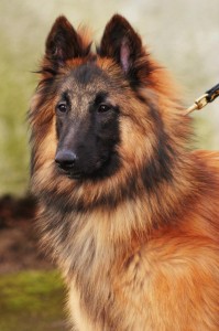 25965_595309317151558_971177106_n