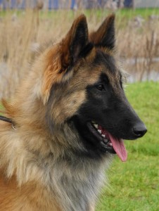 32175_259443204188926_1092098172_n