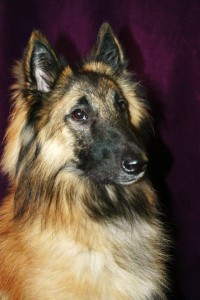 377659_401143859975579_2075955436_n