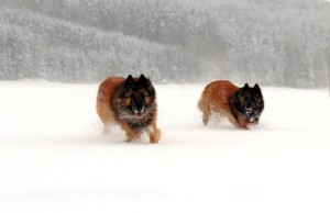 379186_598591853489971_757920824_n