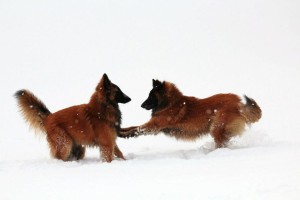 395748_597783960237427_1020987210_n