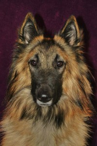 427318_401143913308907_1458252978_n